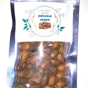 Croton seeds/ miracle seeds/ ghana seeds