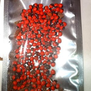 Cat eye seeds