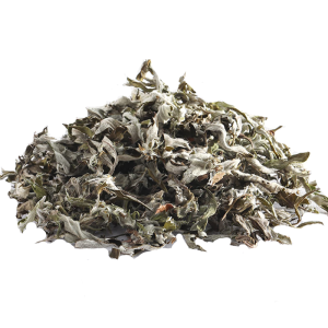 Dried mugwort
