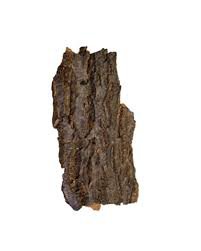 Igi nla bark