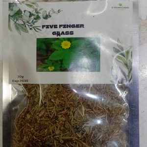 FIVE FINGER GRASS